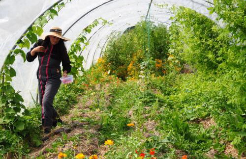 Le gîte des Jardins d'Hayden - Foto 11