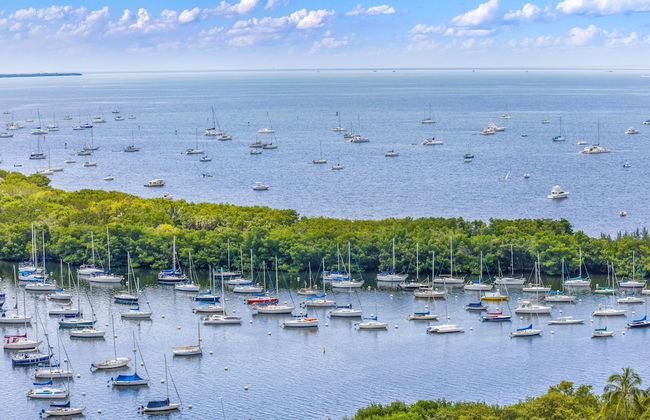 1-BD Condo in Coconut Grove - Water Views - Foto 60