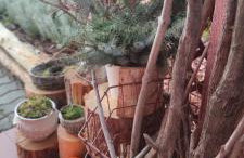 Żurawisko - Domki wśród natury - Foto 50