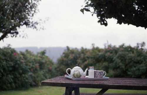 Allercott Farm - Foto 7