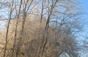 Gîte classé deux étoiles gite de France n 17 Signy-le-Petit - Foto 46