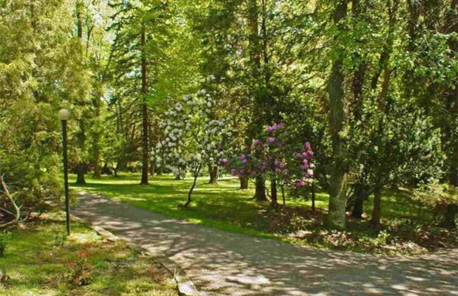 Unique and Secluded Country Estate Near Pittsburgh - Foto 20