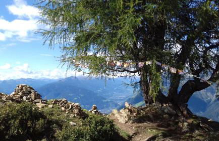 Ferienwohnungen Wiesbauer - Foto 66