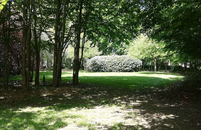 Beautiful Villa for Groups With Swimming Pool, Sauna and Wifi - Foto 34