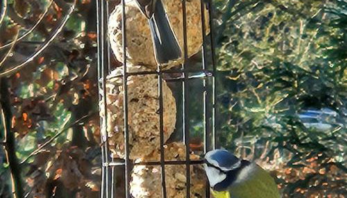 Charmante maison avec jardin au cœur du Parc Naturel Régional de la Brenne, idéale pour télétravail. - FR-1-591-237 - Foto 5