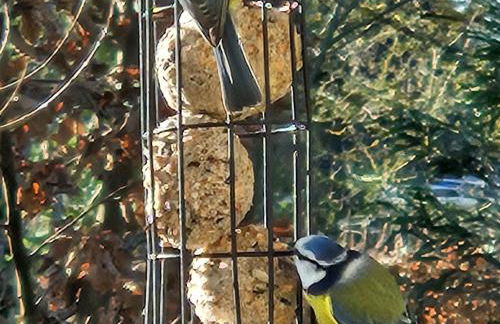 Charmante maison avec jardin au cœur du Parc Naturel Régional de la Brenne, idéale pour télétravail. - FR-1-591-237 - Foto 8