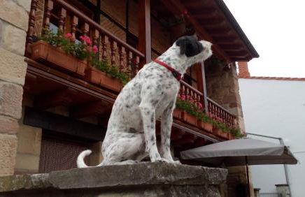 La Casa de Consuelo 3 - Foto 37