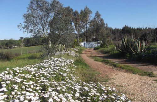 Courela do Salgueiro - Foto 30