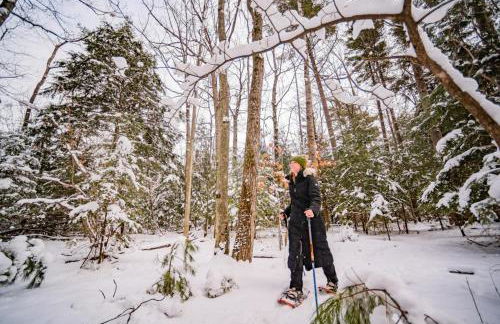 2 Lake Cabins Poolhottub Game Room & Courts - Foto 27