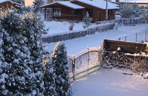 Wiola Verde - Foto 40