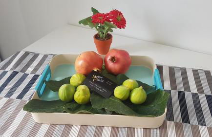 Higgie House - Foto 3