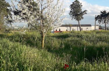 Masseria Agriturismo Moschella - Foto 32