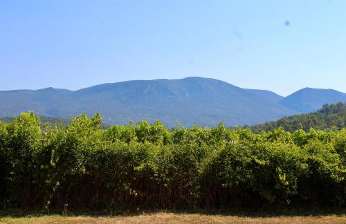 Maison Marvic, Studio dans les pins - Foto 22