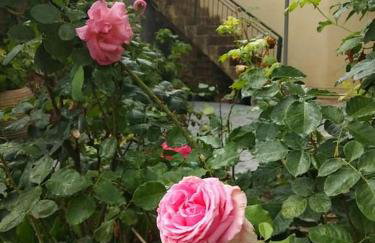 Ευχάριστο σπίτι με ωραίο κήπο - Foto 21