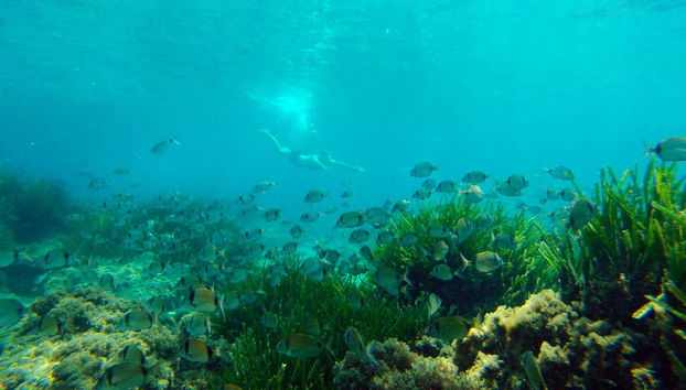 Cabo de Gata Kayak & Snorkel Tour - Foto 3