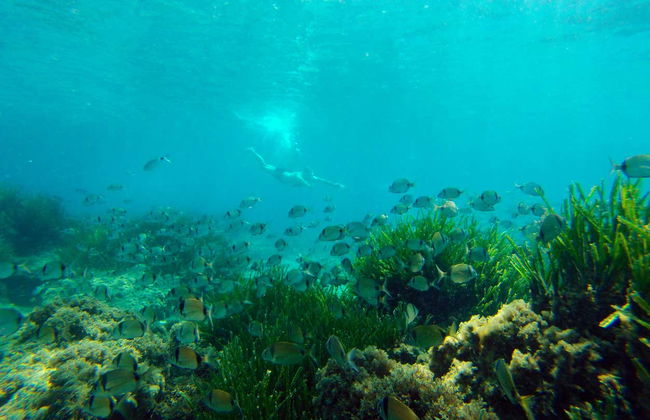 Kayak y snorkel en el Cabo de Gata - Foto 3