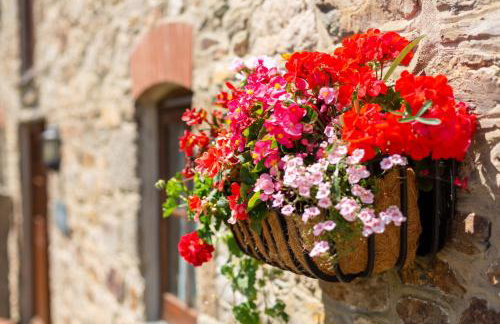 Rose Cottage, Tregolls Farm - Foto 22