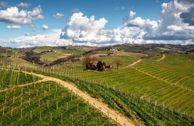 Casa Musotta - Dimora nelle Langhe - Foto 27