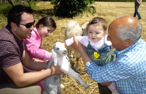 Agriturismo Frantoio Mafrica - Foto 28