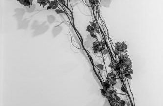 Milenial Immo Marignane - Apartment 500m Dalí Figueres - Foto 22