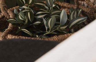 Stellas Village House - Foto 13