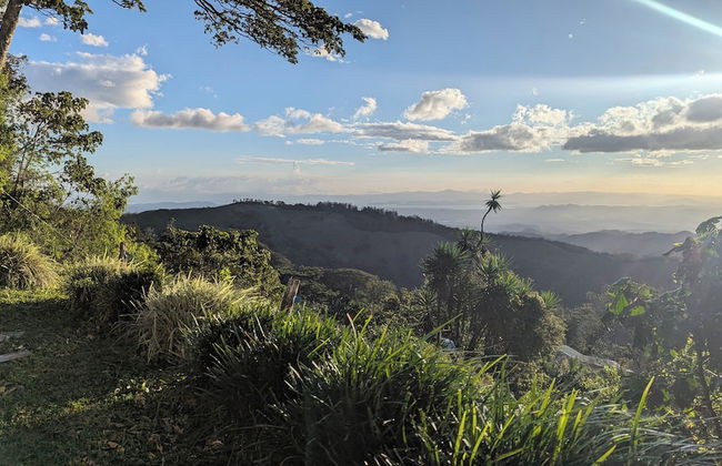 Campos de Oro Wilderness Lodge - Photo 74