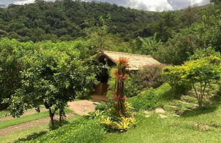 Vale das Estrelas - vale das videiras - araras - Foto 10