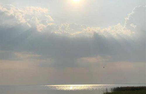 Ferienhaus am Nationalpark, Klausdorf, ca 250m bis zur Badestelle - Foto 20