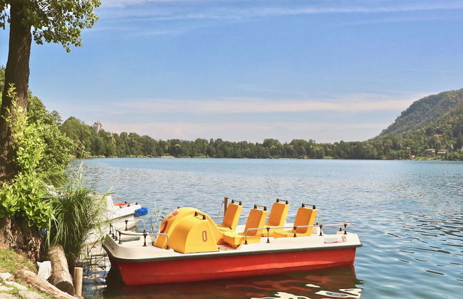 Rododendro Rosso - Foto 32