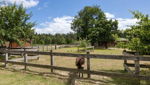 Ferienwohnung Immenhof - Foto 2
