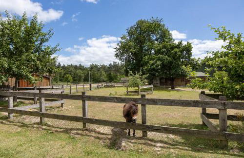 Ferienwohnung Immenhof - Foto 2