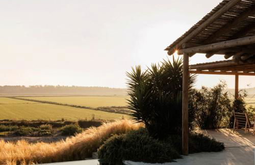 Flor de Arroz - Foto 17