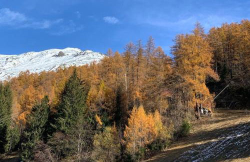 Apartment in front of the slopes - Foto 24