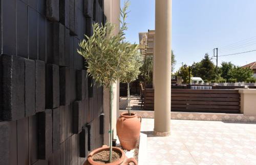 Eleon Studios by Booking Kottas - Foto 15