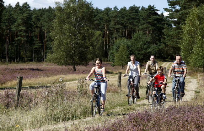 Ferienhof Cohrs - Ferienhäuser - Photo 17