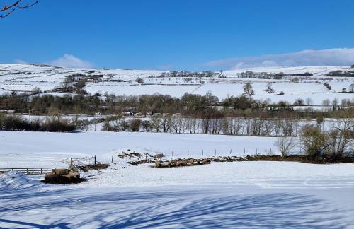 The Den, Coves House - Foto 23