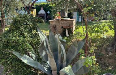 Le Coccole Del Trasimeno - Foto 35
