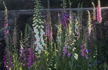 Chain House - Historic and Gorgeous, Spacious and Private - Foto 30