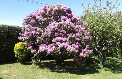 Apartamentos El Otero de Cudillero - Foto 47
