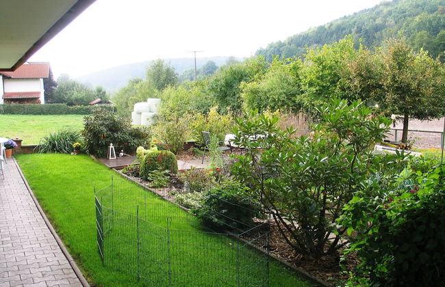 Apartment in the Odenwald With Terrace - Foto 40