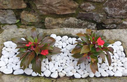 Casa Rural El Bellucu - Foto 42