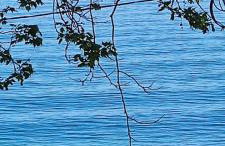 Villa Kiki by the beach! - Foto 26