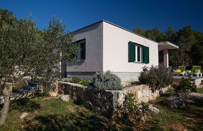 Olive Eden - Foto 38