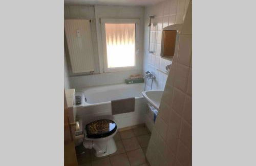 Hauckwald Apartment 1 - Foto 5