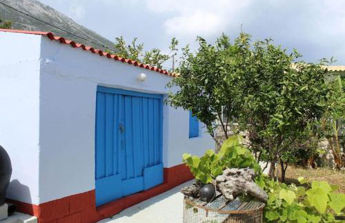 GT Traditional Windmill - Foto 34