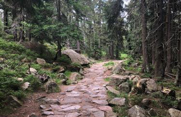 Apartament Zielone Wzgórze 2 - Foto 61