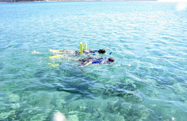 Snorkeling in Schinias Bay - Foto 7