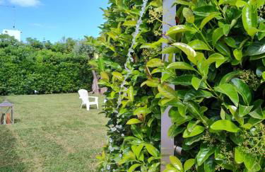 Endless Summer - Photo 17