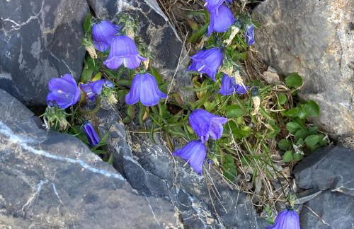Chalet Parc des Écrins - Foto 13