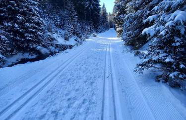 Domki przy Skarpie - Foto 15